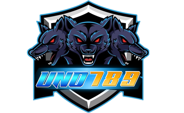 uno789 เว็บพนันออนไลน์ครบวงจร สล็อต บาคาร่า แทงบอล